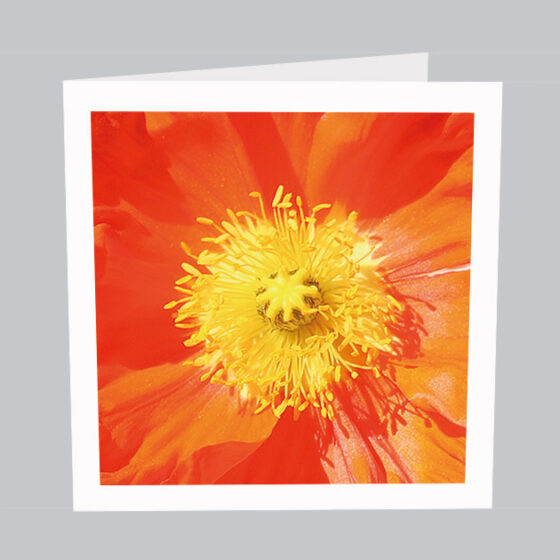 Blumenkarte