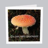 Du bist mein Glückspilz S008